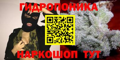 прущая мука Канаш