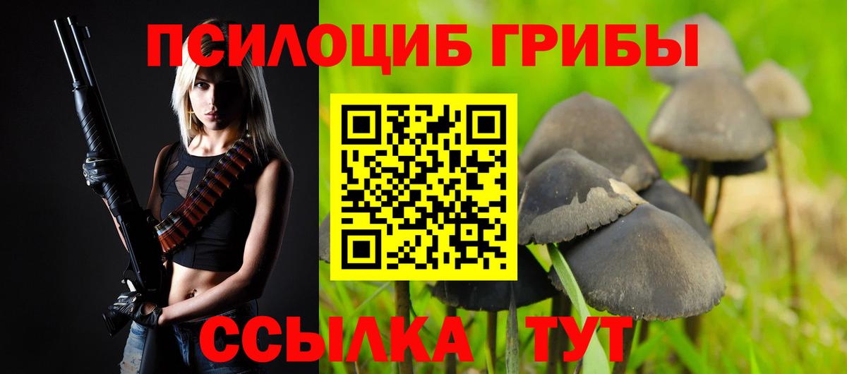 Псилоцибиновые грибы ЛСД  Вход с VPN  Камень-на-Оби 